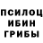 Псилоцибиновые грибы Cubensis Luciana Passos