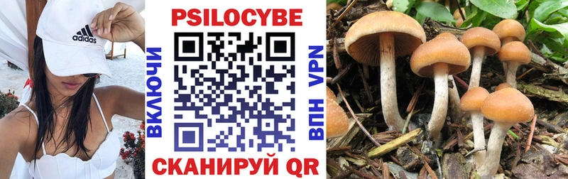 Псилоцибиновые грибы GOLDEN TEACHER  Чистополь 
